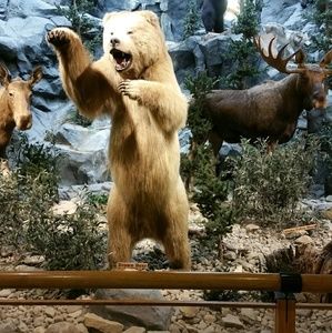 Meet your Posher, Craig